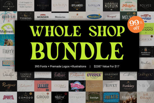 Whole Shop Bundle (Craft Supply Co) – only $17!How would it feel…